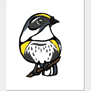 Yellow Rumped Warbler Graphic Posters and Art